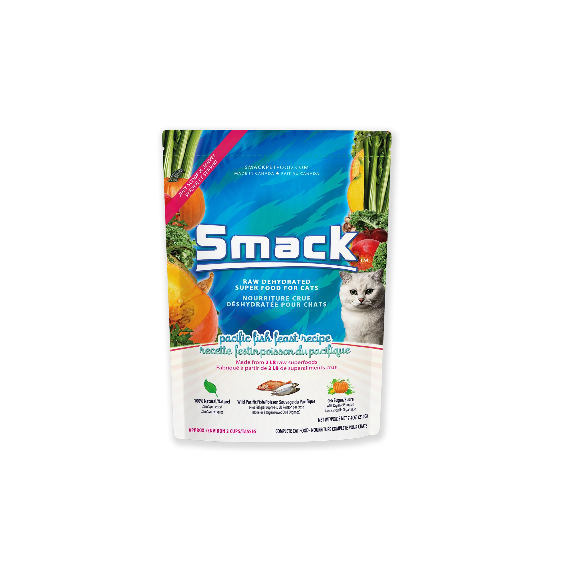 Pacific Fish Feast | W1 | CAT - Image 3